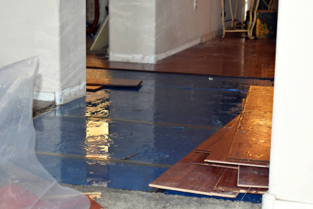 Professional Basement Flood Cleanup technician working in Williston, NC